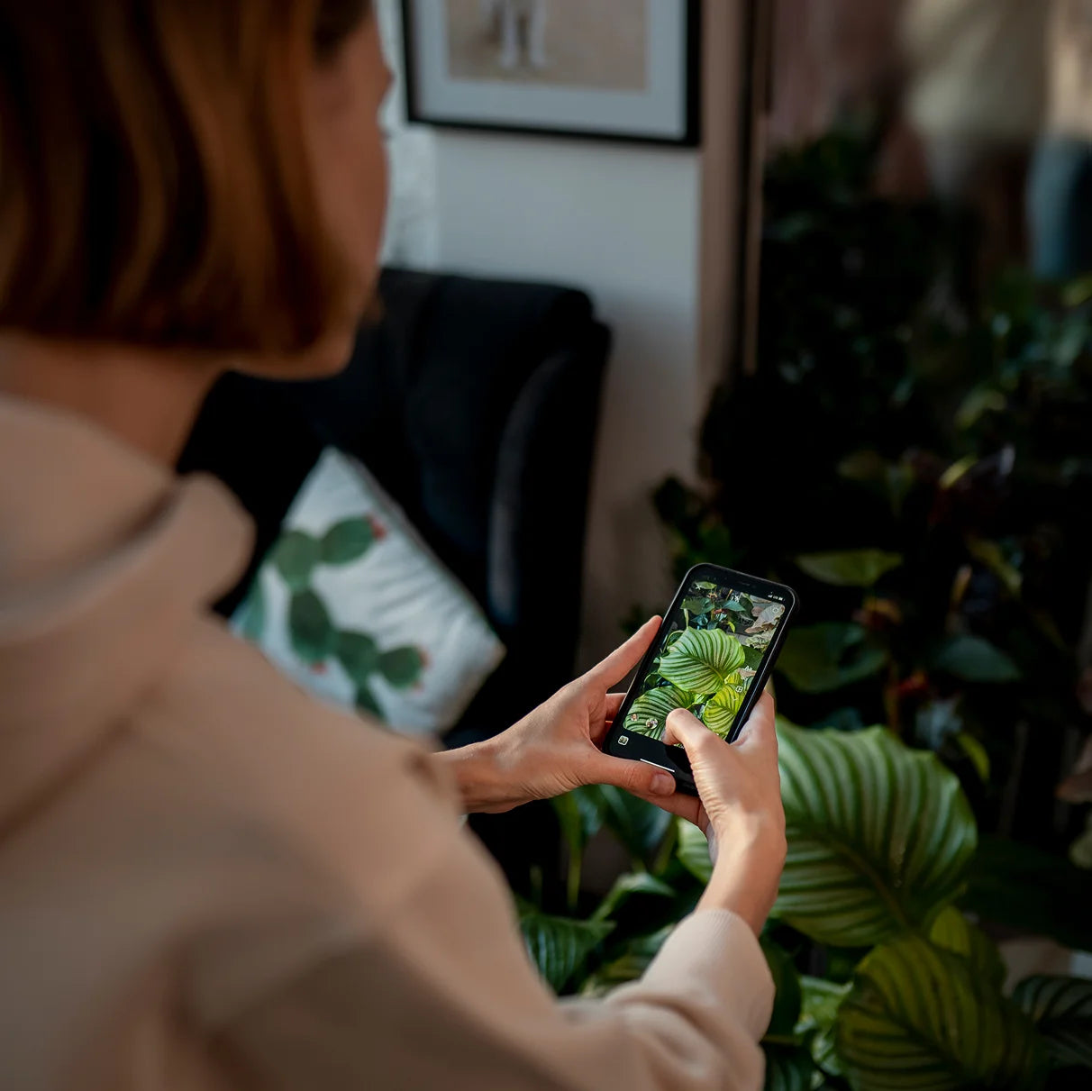 image-widget-App-CPU-hp-4