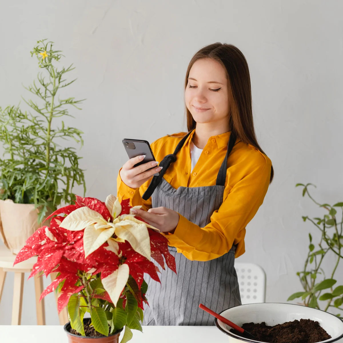 images for demo store 5