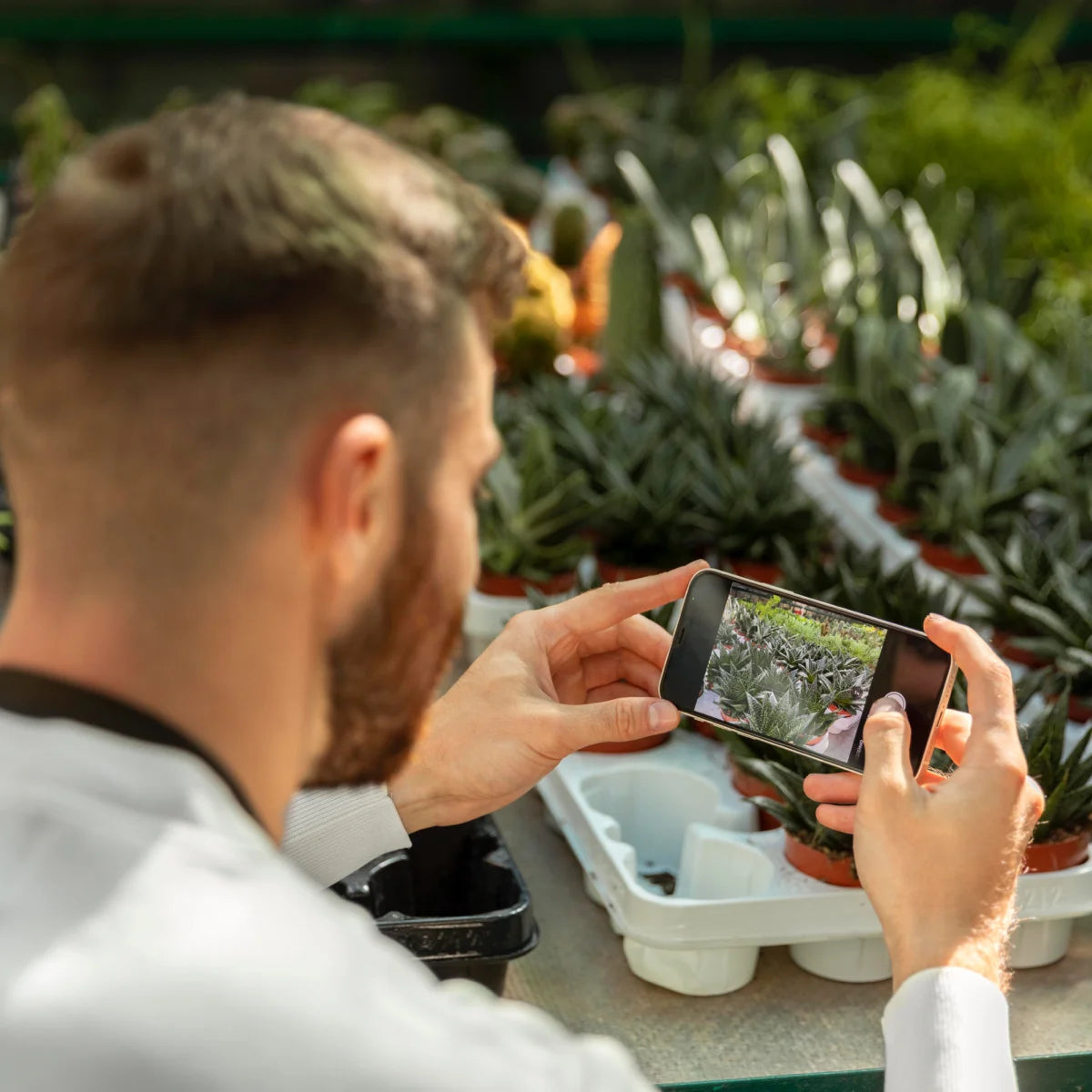 images for demo store 7