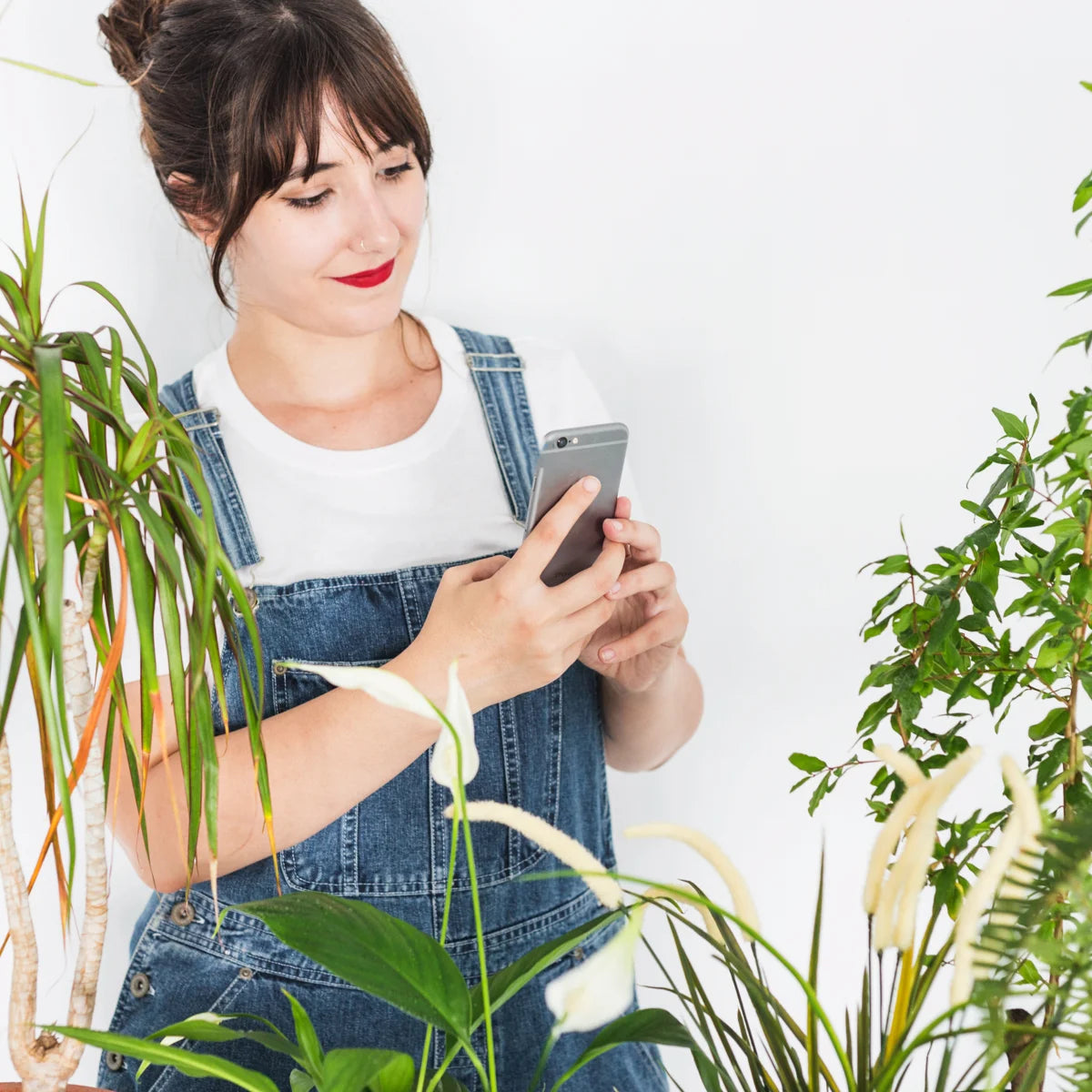 images for demo store 15