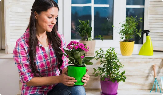 images-for-demo-store-hp-m-1