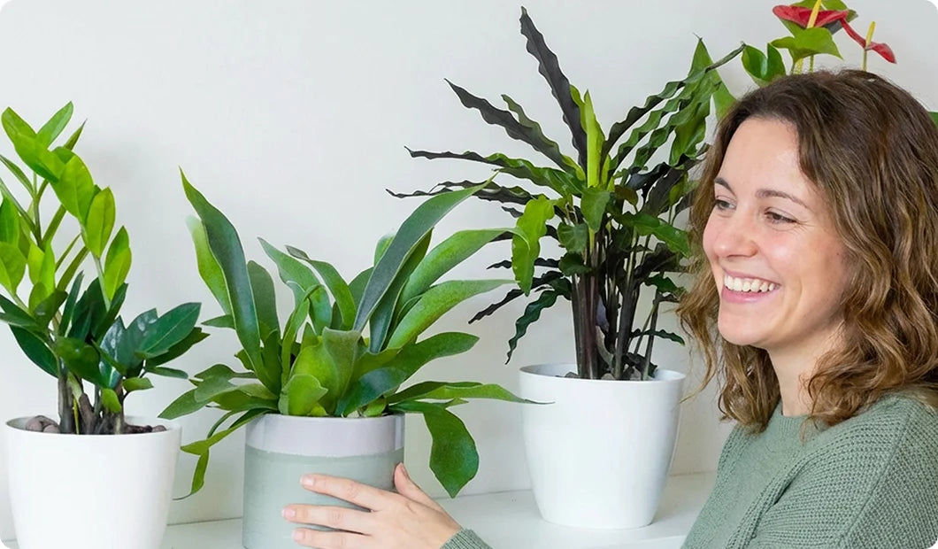 images-for-demo-store-hp-m-12