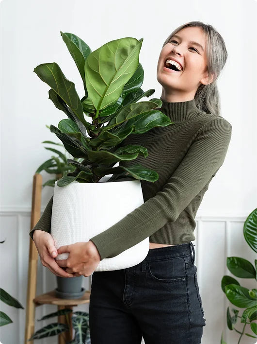 images-for-demo-store-hp-m-13