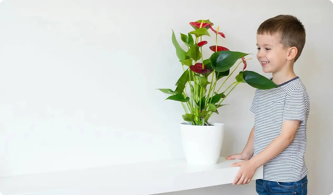 images-for-demo-store-hp-m-14