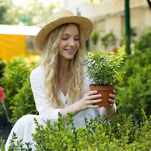 images-for-demo-store-hp-m-15