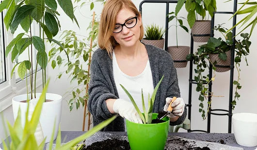 images-for-demo-store-hp-m-2