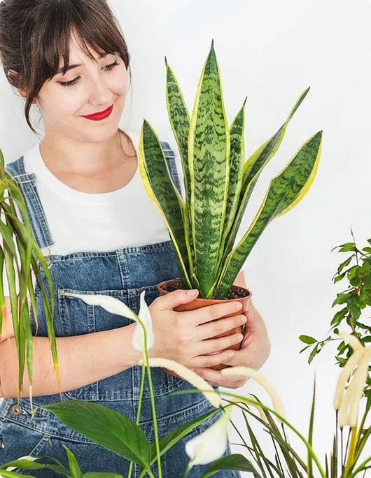 images-for-demo-store-hp-m-3