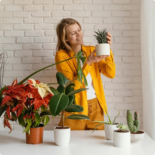 images-for-demo-store-hp-m-4