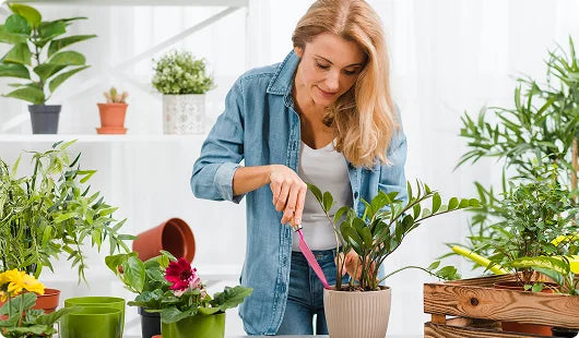 images-for-demo-store-hp-m-5