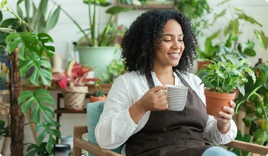 images-for-demo-store-hp-m-9